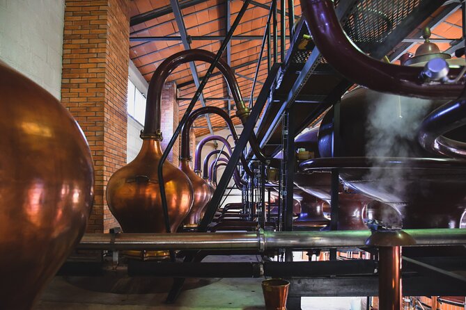 Discovery Tour Braastad Cognac - Traveler Photos