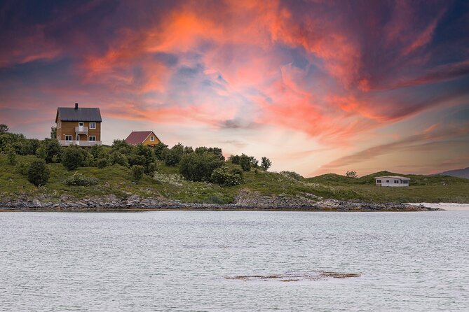 Discovery Tour of the Island of Senja and Kvaløya From Tromsø - The Sum Up