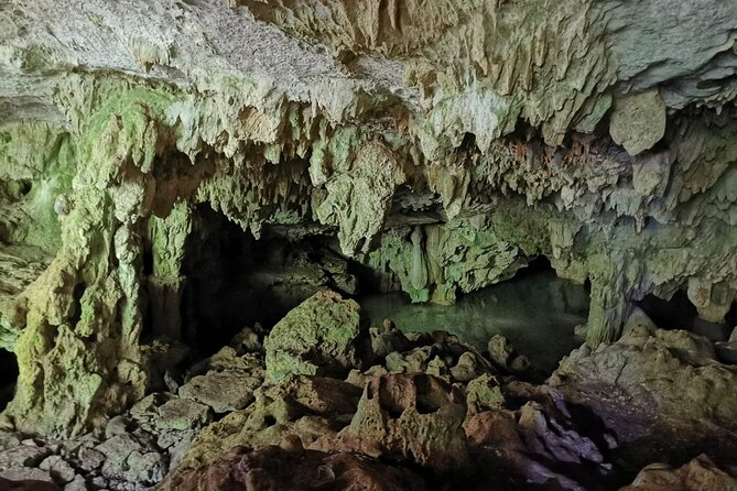 Discovery Tsonoti in Day of Non Touristic Cenotes - Authentic Traveler Reviews