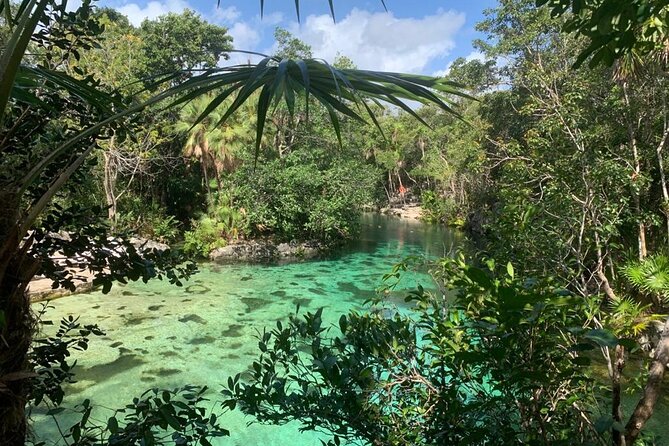 Discovery Tsonoti in Day of Non Touristic Cenotes - Helpful Information and FAQs