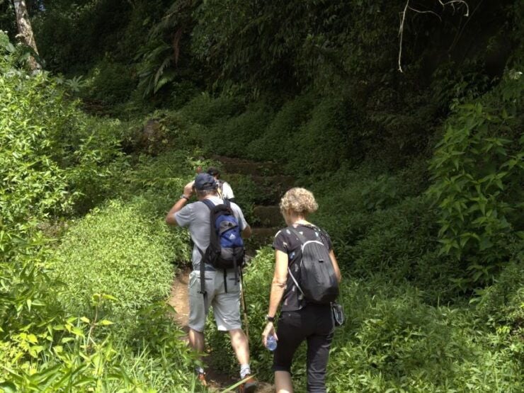 Discovery Wanagiri Unknow – Aling Aling Waterfall Trekking - Booking Information