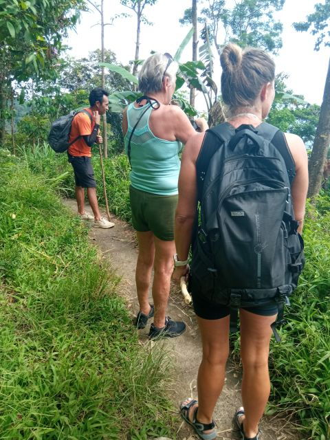 Discovery Wanagiri Unknow – Aling Aling Waterfall Trekking - Activity Description