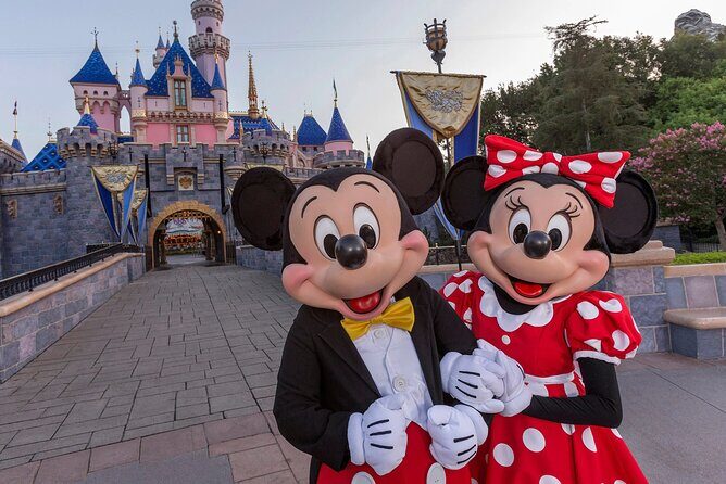 Disney and Universal Private Luxury Transfer - An In-Depth Look at the Private Transfer Service