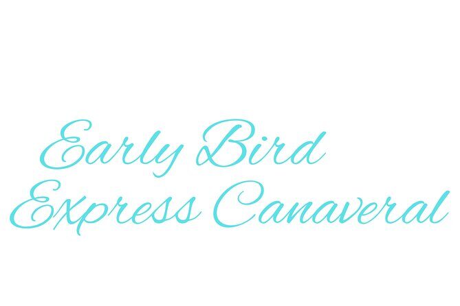 Disney World to Disney Cruise Line Private Transportation - Final Thoughts