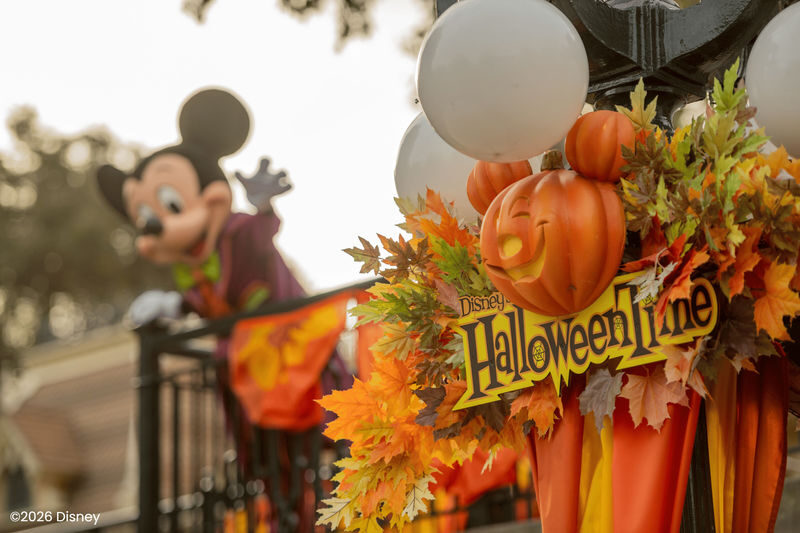 Disneyland California Ticket - Start with the park that fits your day