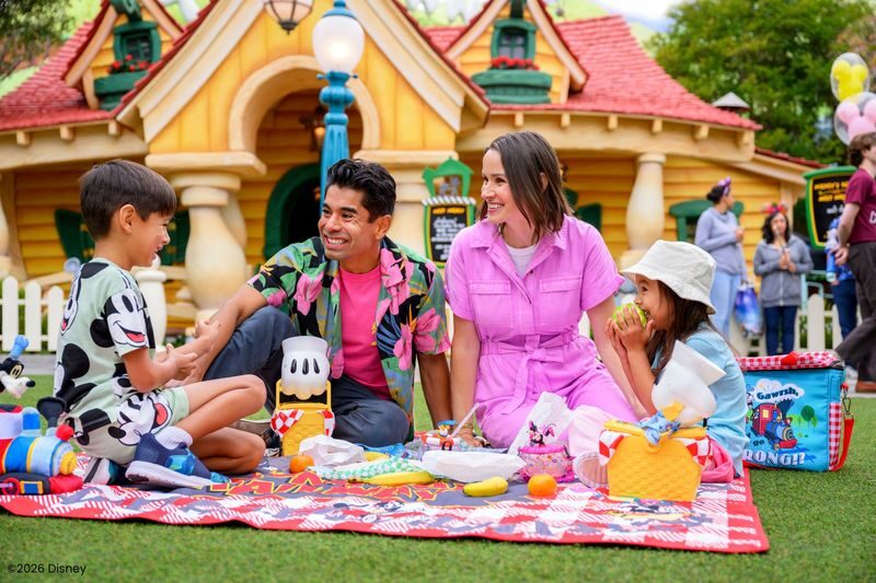 Disneyland California Ticket - Decide if Lightning Lane earns its keep