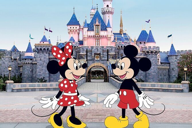 Disneyland or Disneysea Transfer to or from Tokyo English Driver - Good To Know