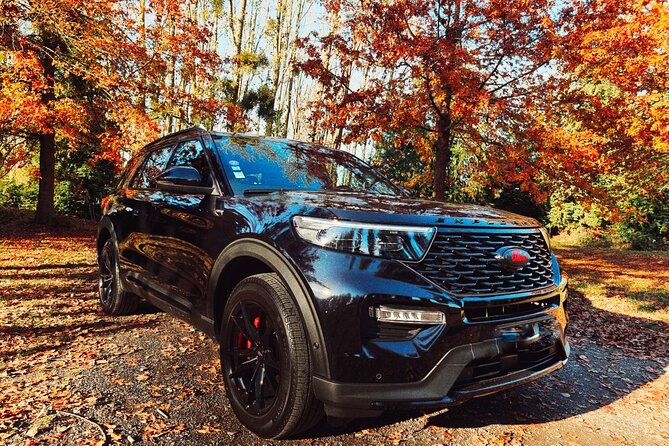 Disneyland Paris: One-Way Private Transit Service - Pricing and Reservation