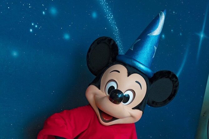 Disneyland Paris Round-Trip Private Airport Transfers - Example Customer Review