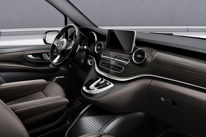 Disneyland Private Transfer - Luxury Minivan Service - Accessibility Information