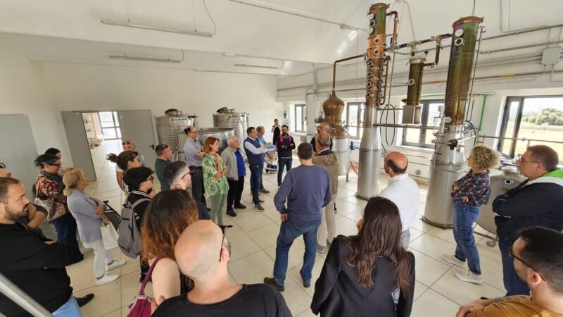 Distilleria Alma- Rum Distilery Guided Tour & Tasting - Why This Tour Offers Value for Money