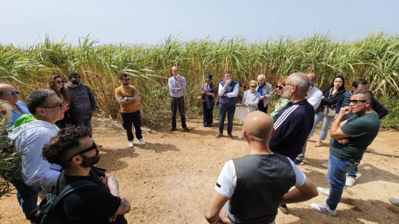 Distilleria Alma- Rum Distilery Guided Tour & Tasting - The Sum Up