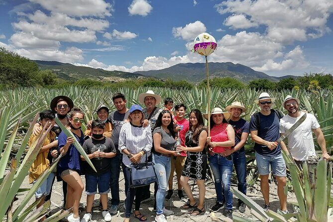 Distillery Tour and Agave Fields by Mal de Amor Mezcal - An In-Depth Look at the Tour Itinerary and What You Can Expect