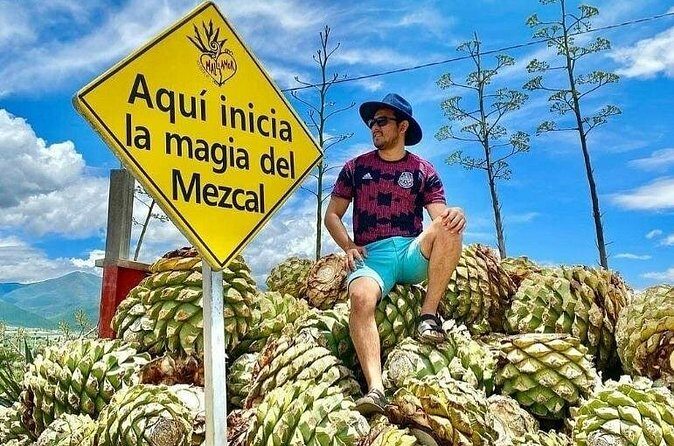 Distillery Tour and Agave Fields by Mal de Amor Mezcal - FAQ