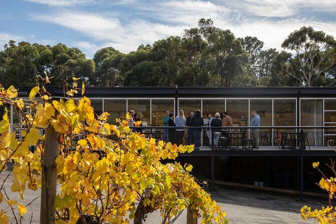 Distinguished Collection Tasting with Platter - The Sum Up