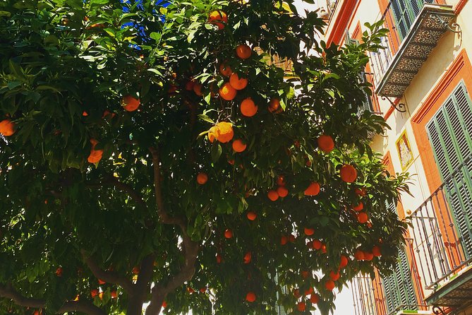 Disvover Seville by Bike! - Why Choose a Bike Tour in Seville?