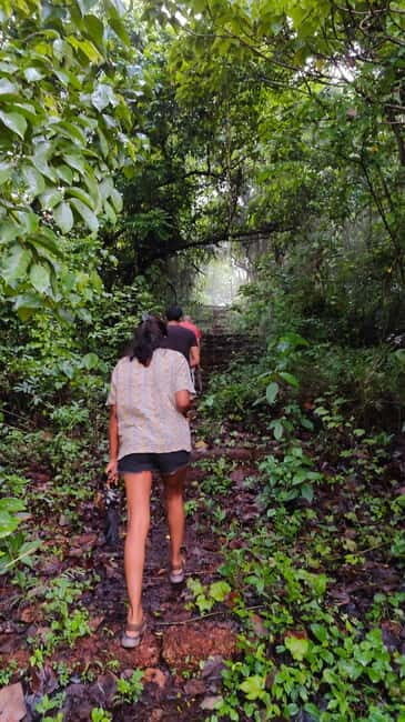 Divar Island Excursion with a Native Islander - Scenic Drive and Birdlife Along the Way