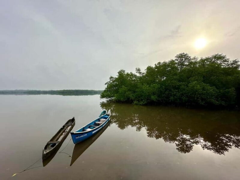 Divar Island Excursion with a Native Islander - Final Thoughts