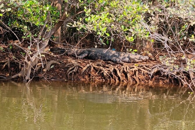 Divar Island-Nature & Backwater Cruising - Additional Guidelines