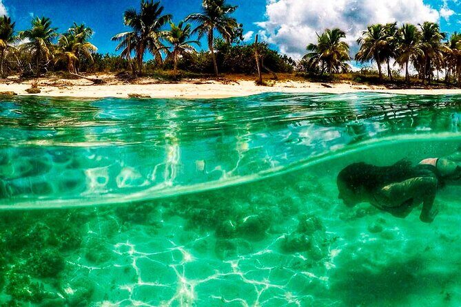 Dive Boat Tour on Catalina Bayahibe Island - An In-Depth Look at the Catalina Bayahibe Island Tour