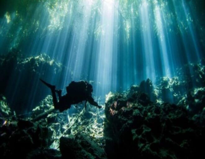 Dive Cenote - Diving Experience