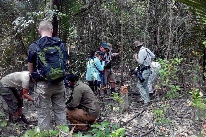 Dive Deep Into the Wild Wonders of Sundarban. - Accommodation Details