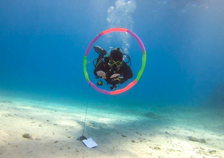 Dive Dip: Discover Scuba Diving in Padang Bai with PADI Dive Center - What the package includes, and why it matters