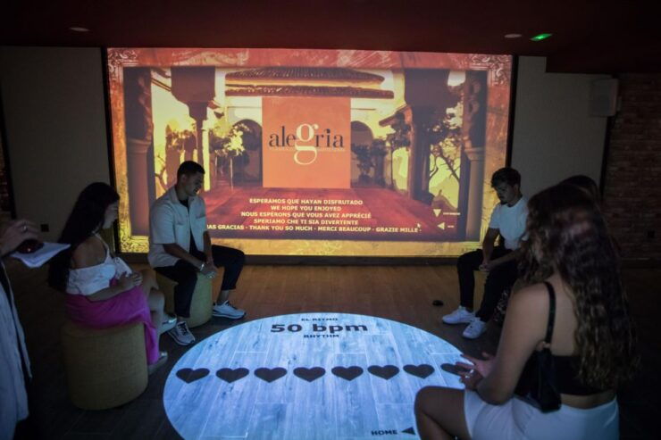 Dive In and Discover: Flamenco in an Interactive Journey - Experience Details