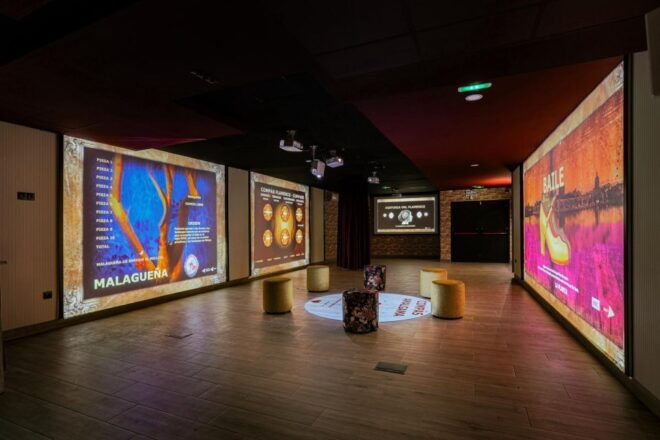 Dive In and Discover: Flamenco in an Interactive Journey - Inclusions