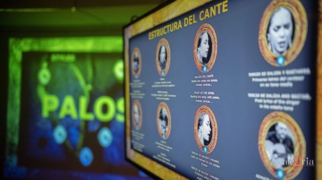 Dive In and Discover: Flamenco in an Interactive Journey - Participant Selection