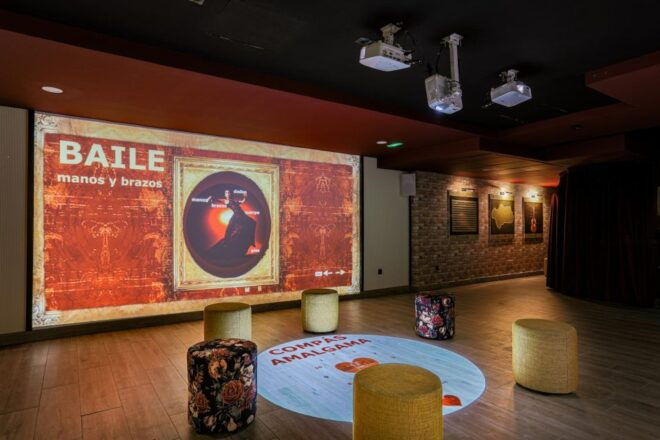 Dive In and Discover: Flamenco in an Interactive Journey - Customer Reviews