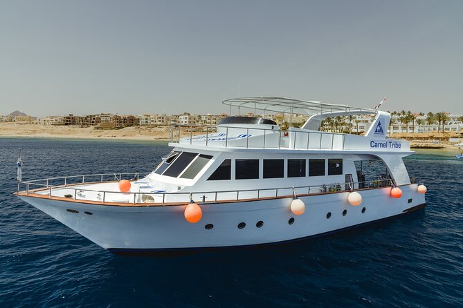 Dive in Sharm El Sheikh - Diving Boat Trip for Certified Divers - Package Details