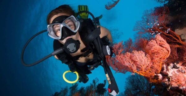 Dive Into Adventure: Explore Racha Island 3 Dives - Customer Reviews and Ratings