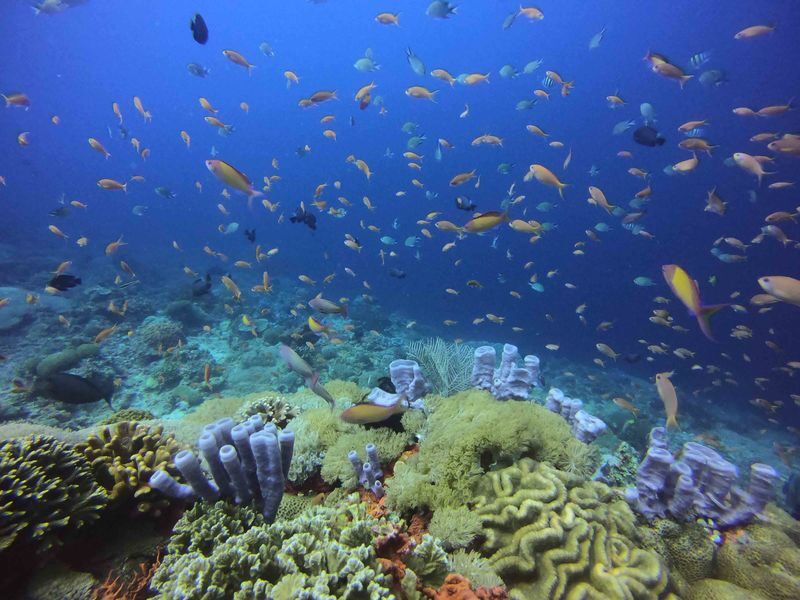 Dive into Nusa Penida: Scuba Discovery with 2 Dives with PADI Center - The 8 a.m. start and the pool lesson