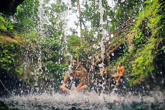 Dive Into Paradise: Cenote Tour - An In-Depth Look at the Cenote Tour Experience