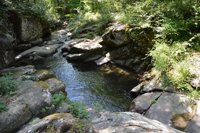 Dive Into the Resco - Good To Know