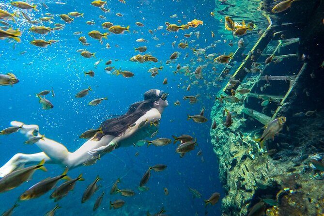 Dive into Tulum: Tour 3 Cenotes, from Riviera Maya - Insights from Travelers’ Reviews