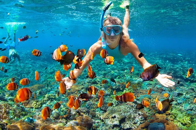 Dive Into West Bay: Island Adventure Awaits - Tour Highlights