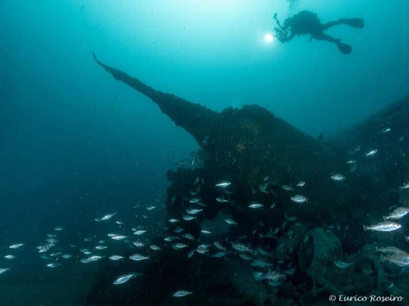 Dive the U-boat 1277 - the Most Iconic Dive in Portugal - Good To Know