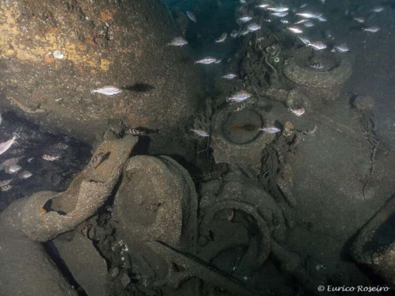Dive the U-boat 1277 - the Most Iconic Dive in Portugal - What to Expect from This Coastal Adventure