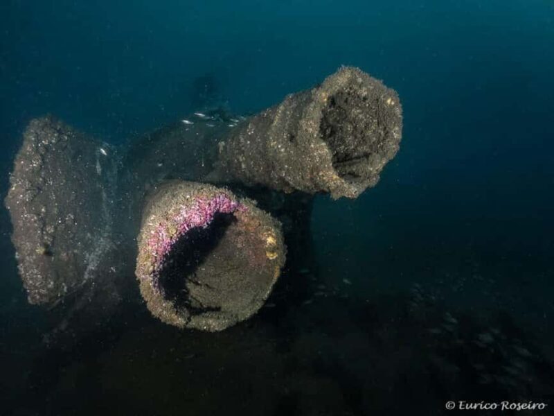 Dive the U-boat 1277 - the Most Iconic Dive in Portugal - The Experience for Different Travelers