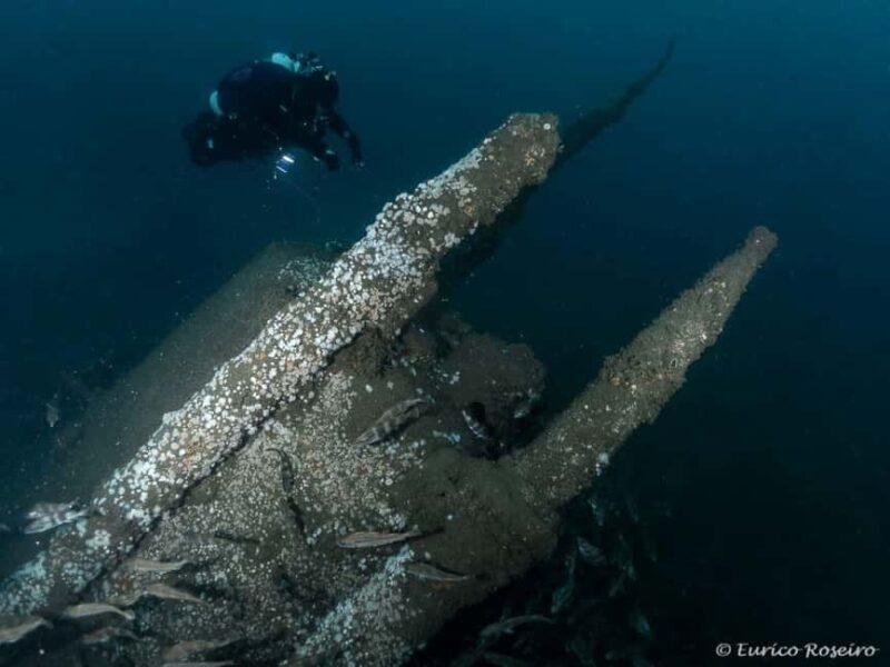 Dive the U-boat 1277 - the Most Iconic Dive in Portugal - The Sum Up