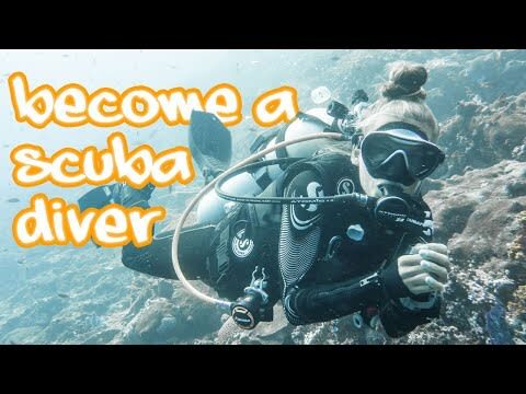 Dive Today!PADI Discover Scuba Diving in Komodo with PADI 5 Star IDC - At a glance