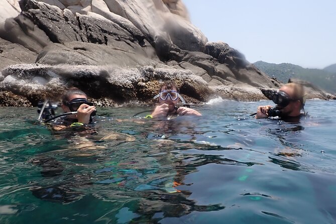 Dive Trip Experience in Koh Tao - Professional Guides and Equipment Provided