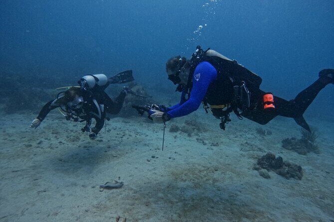 DiveCarib - An Eco-Friendly Certified Diver Trip in Antigua - Good To Know