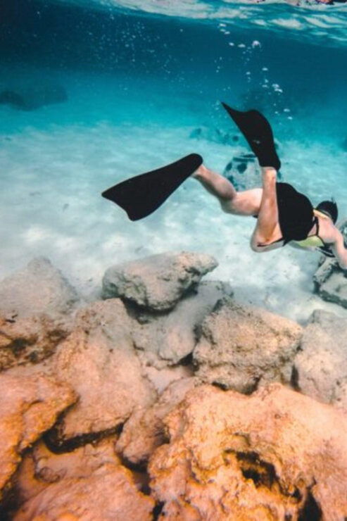 DiveSnap Underwater Sports Thrills:Lantern Point & P31 Wreck - Good To Know