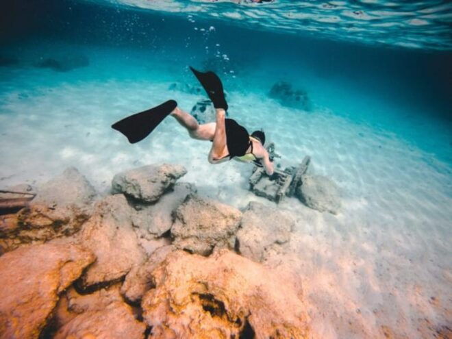 DiveSnap Underwater Sports Thrills:Lantern Point & P31 Wreck - Customizing Your Boat Charter Experience