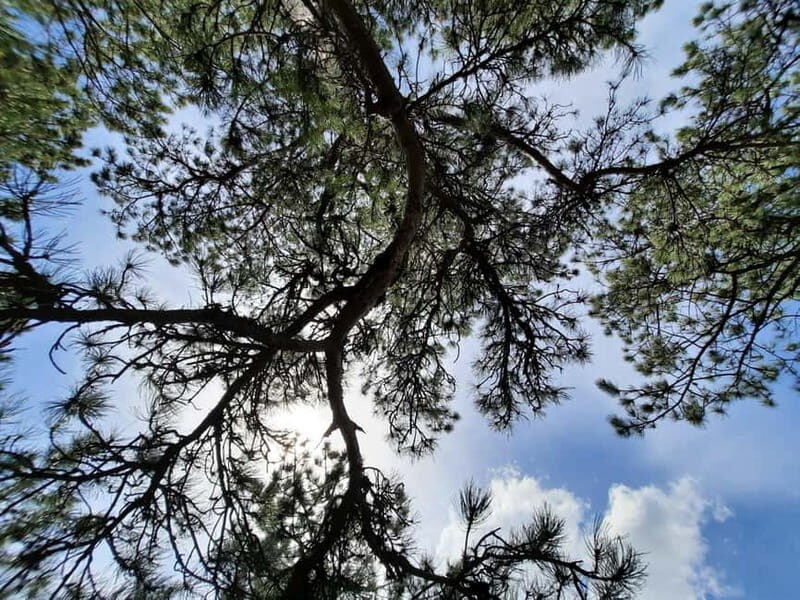 Divibare: Follow the Sun Hiking Tour - An In-Depth Look at the Divibare: Follow the Sun Hiking Tour