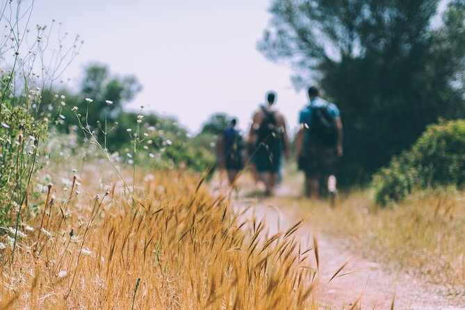 Divine Delphi & Ancient Trail Hike Private Day Trip - Reviews and Ratings