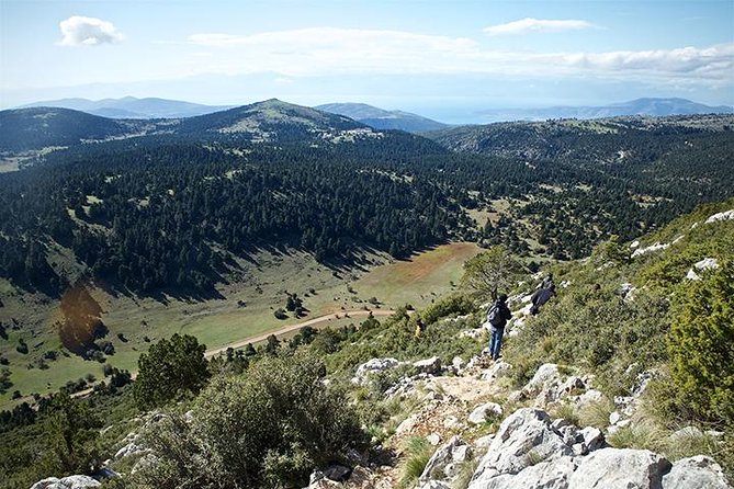 Divine Delphi & Ancient Trail Hike Private Day Trip - Cancellation Policy